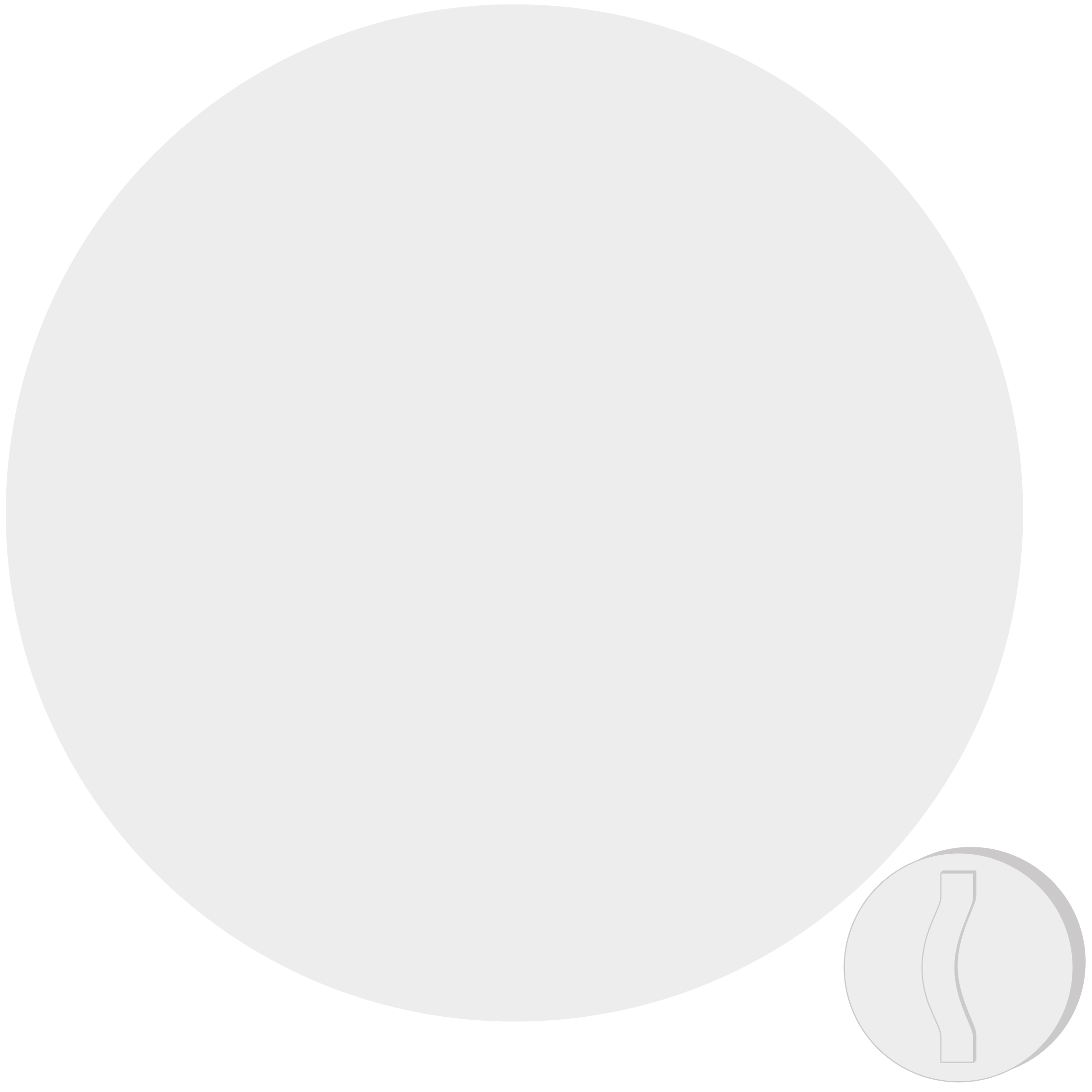 14" Round Shield with Handle 58