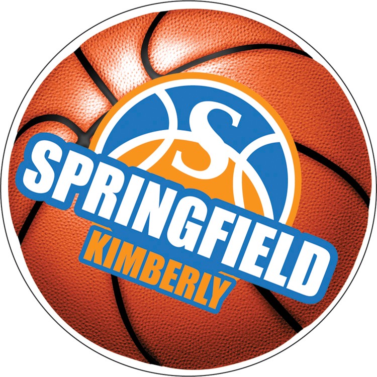 Lot Of 24 Large Basketball Magnets - 5.75 Inch Diameter - Free Shipping