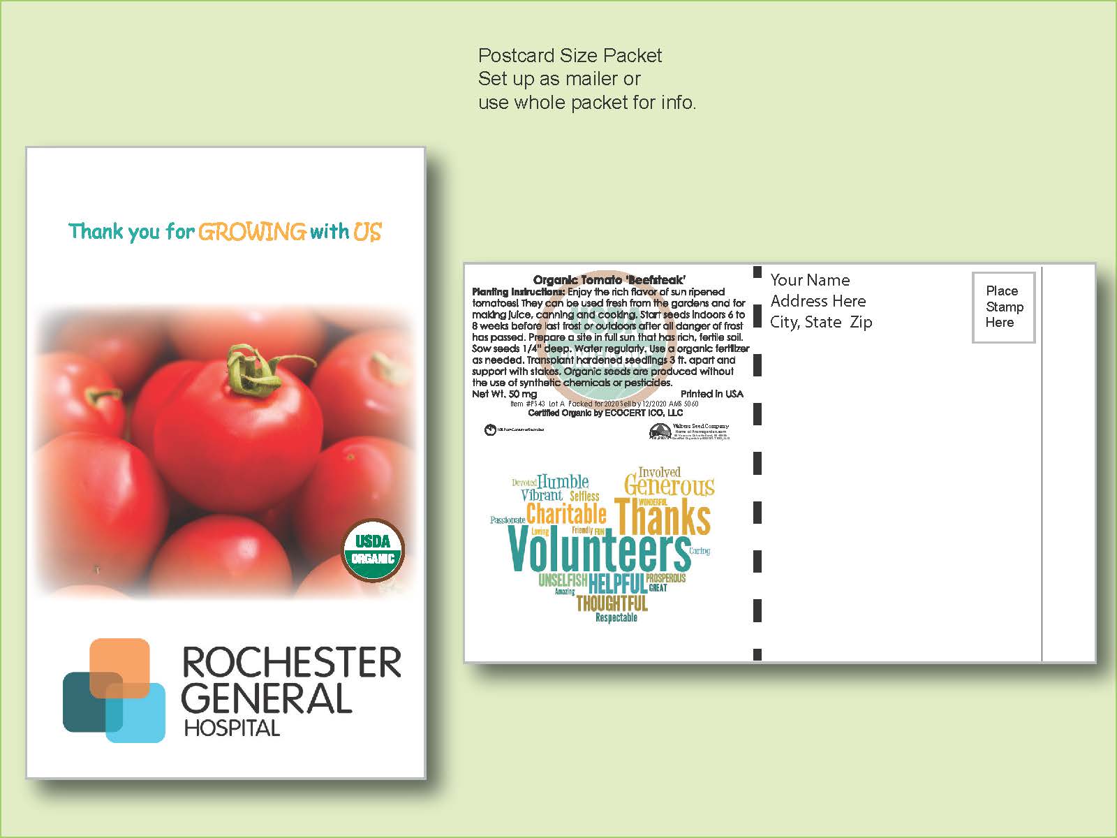 Organic Tomato Beefsteak Seed Packet - Postcard Mailer Size 4" x 6.5"