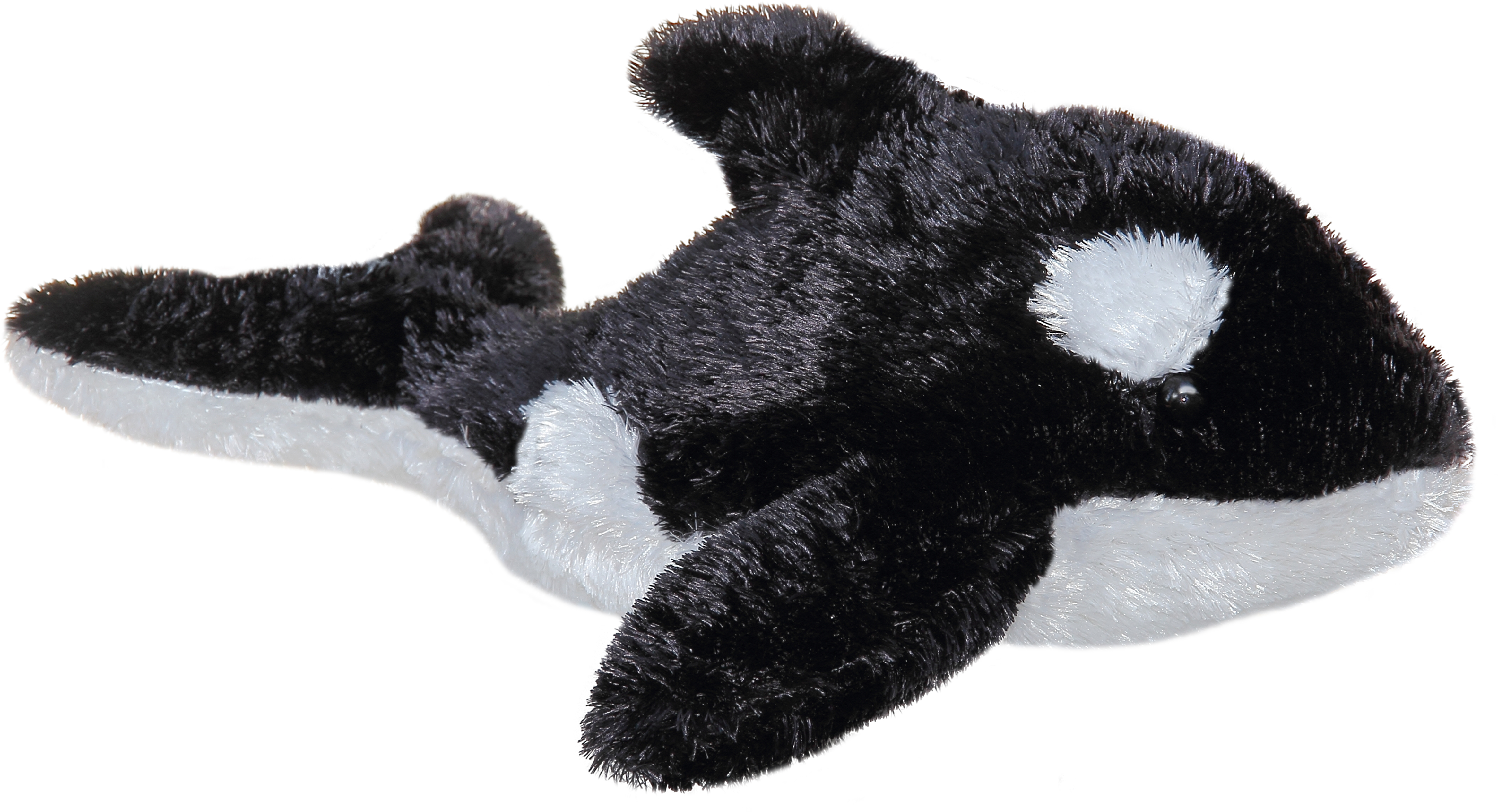 8" Orca Whale 4