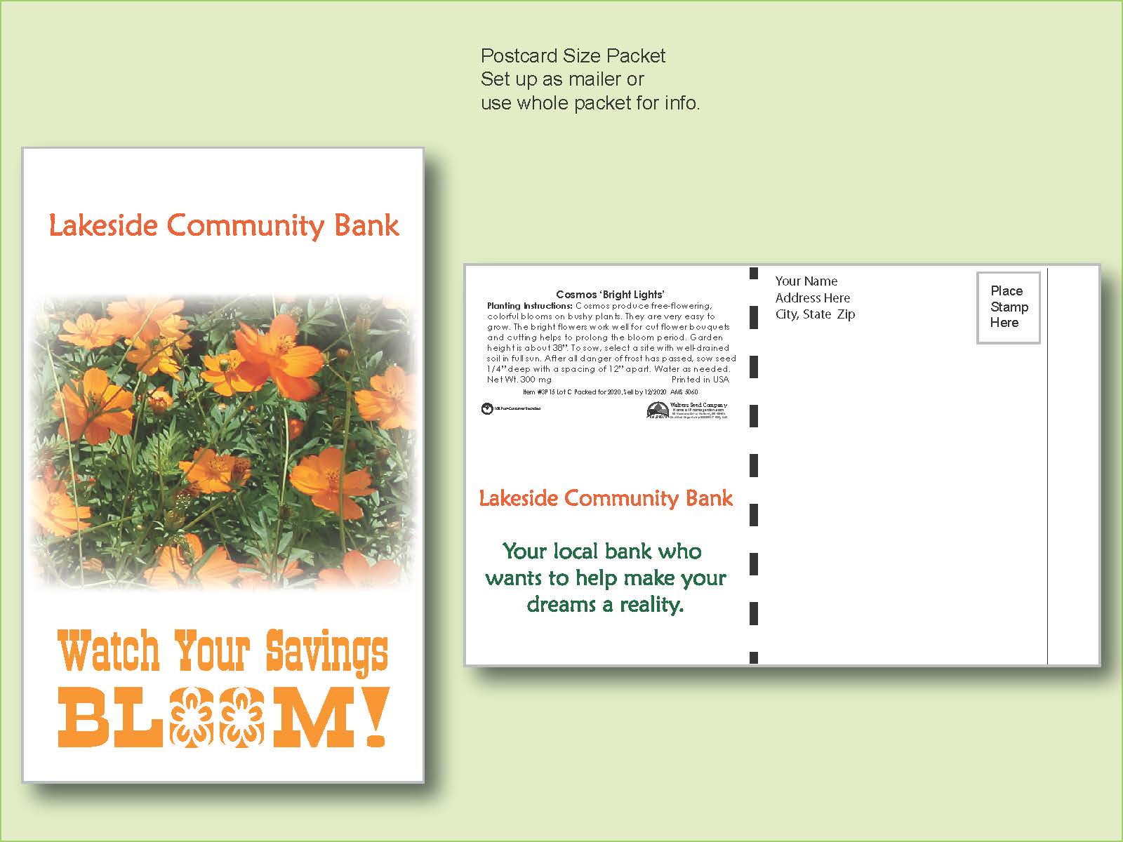 Cosmos Bright Lights Flower Seed Packet - Postcard Mailer Size 4" x 6.5"