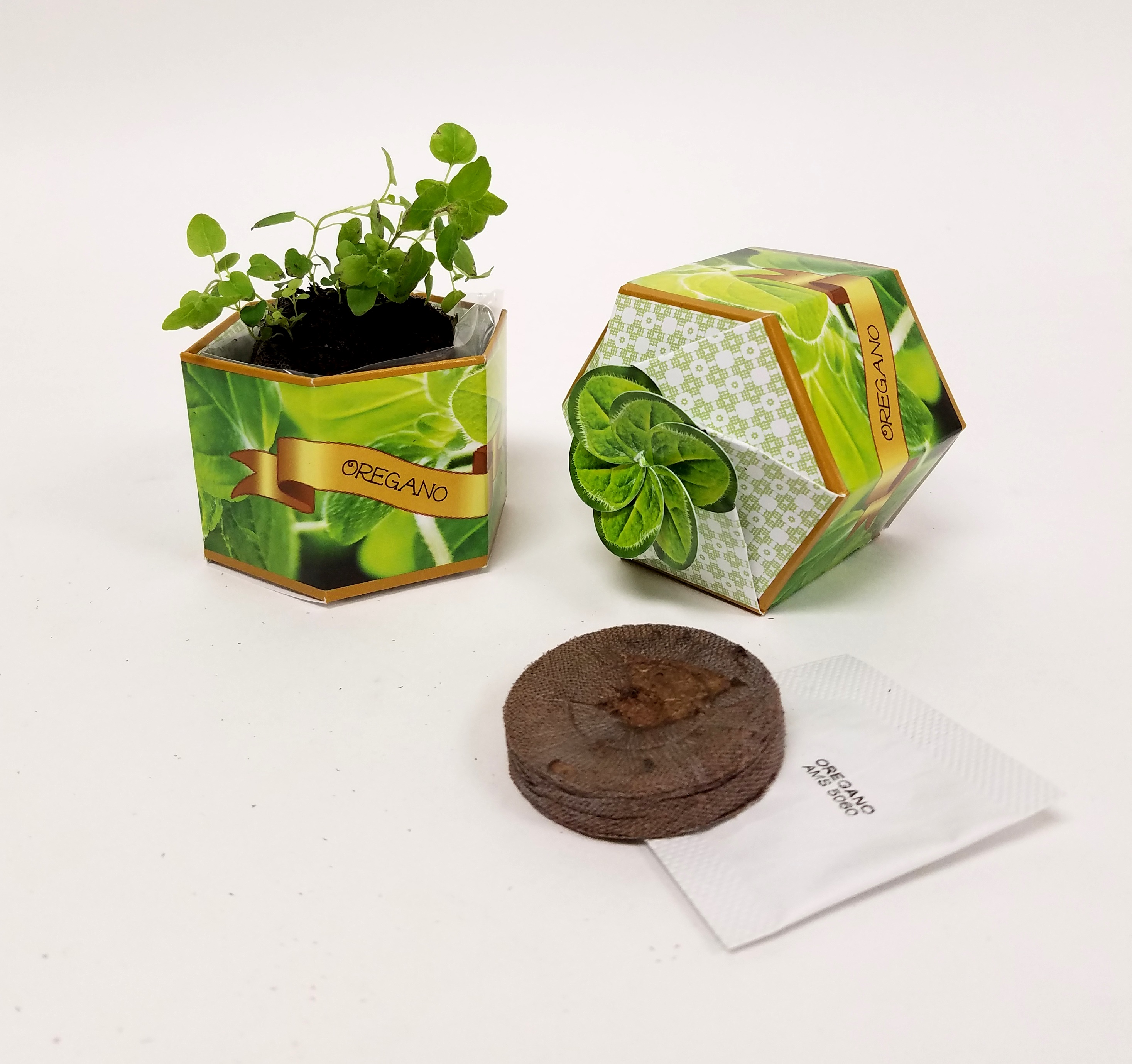 Oregano Herb SeedGems Paper Planter - Biodegradable grow kit 10