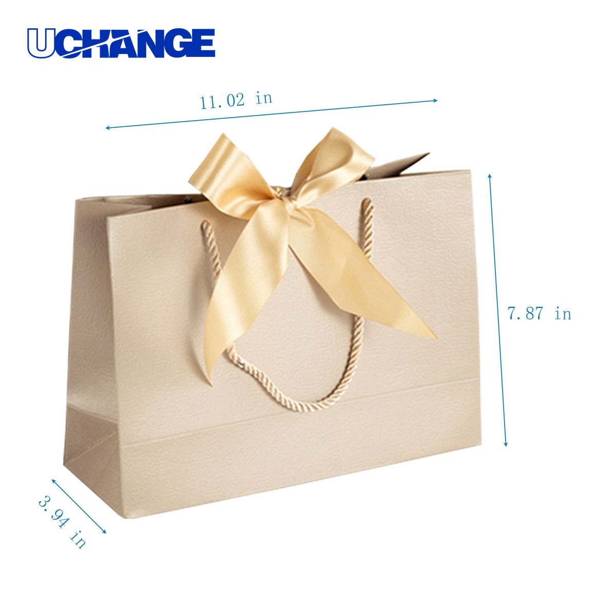 Paper Gift Bag with Ribbon