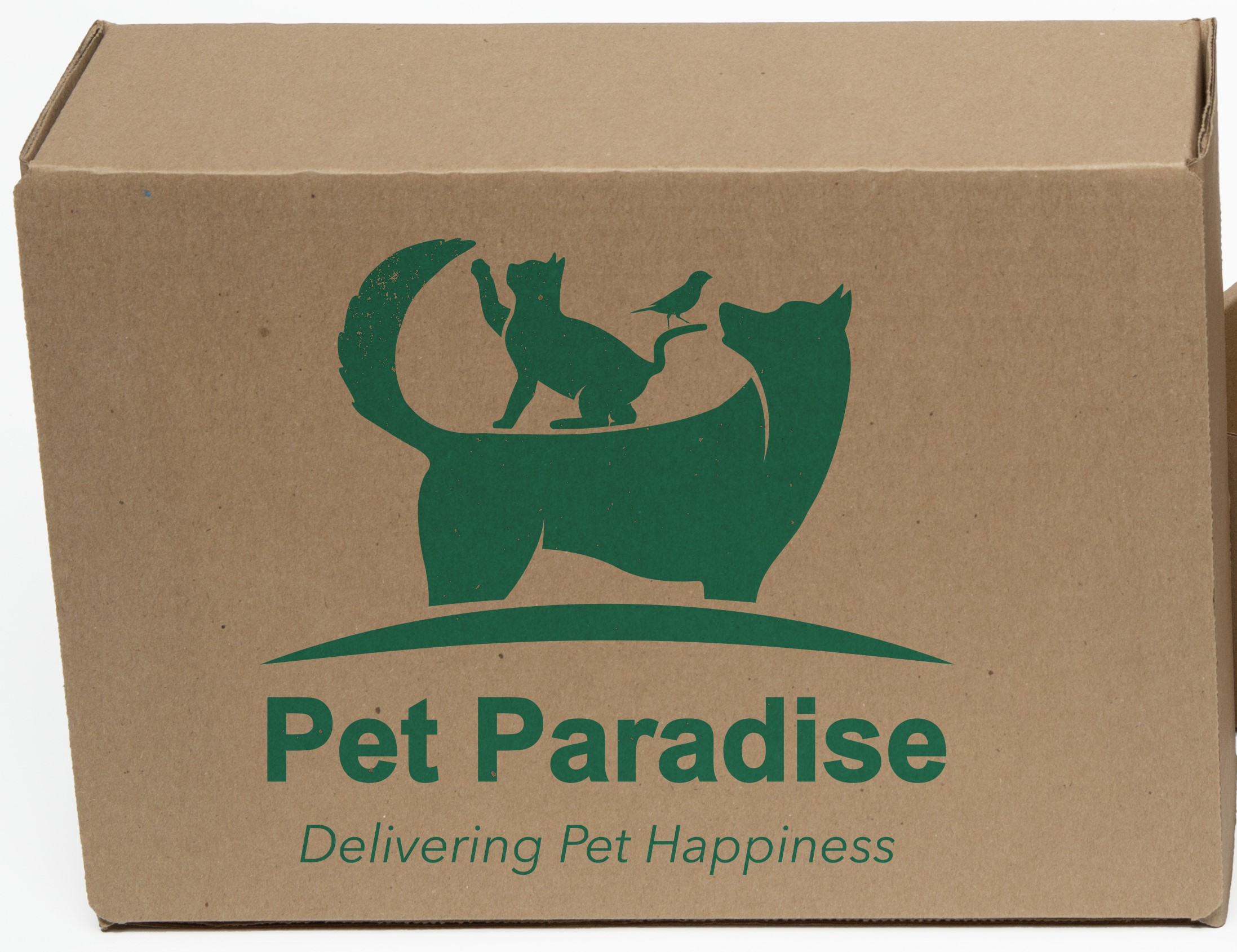 One Color Natural Display Mailer Box w/Outside Imprint (12" x 9" x 4") 3
