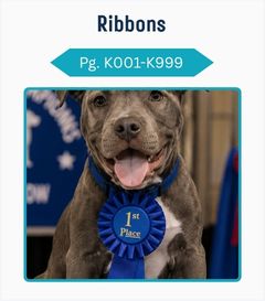 Ribbons