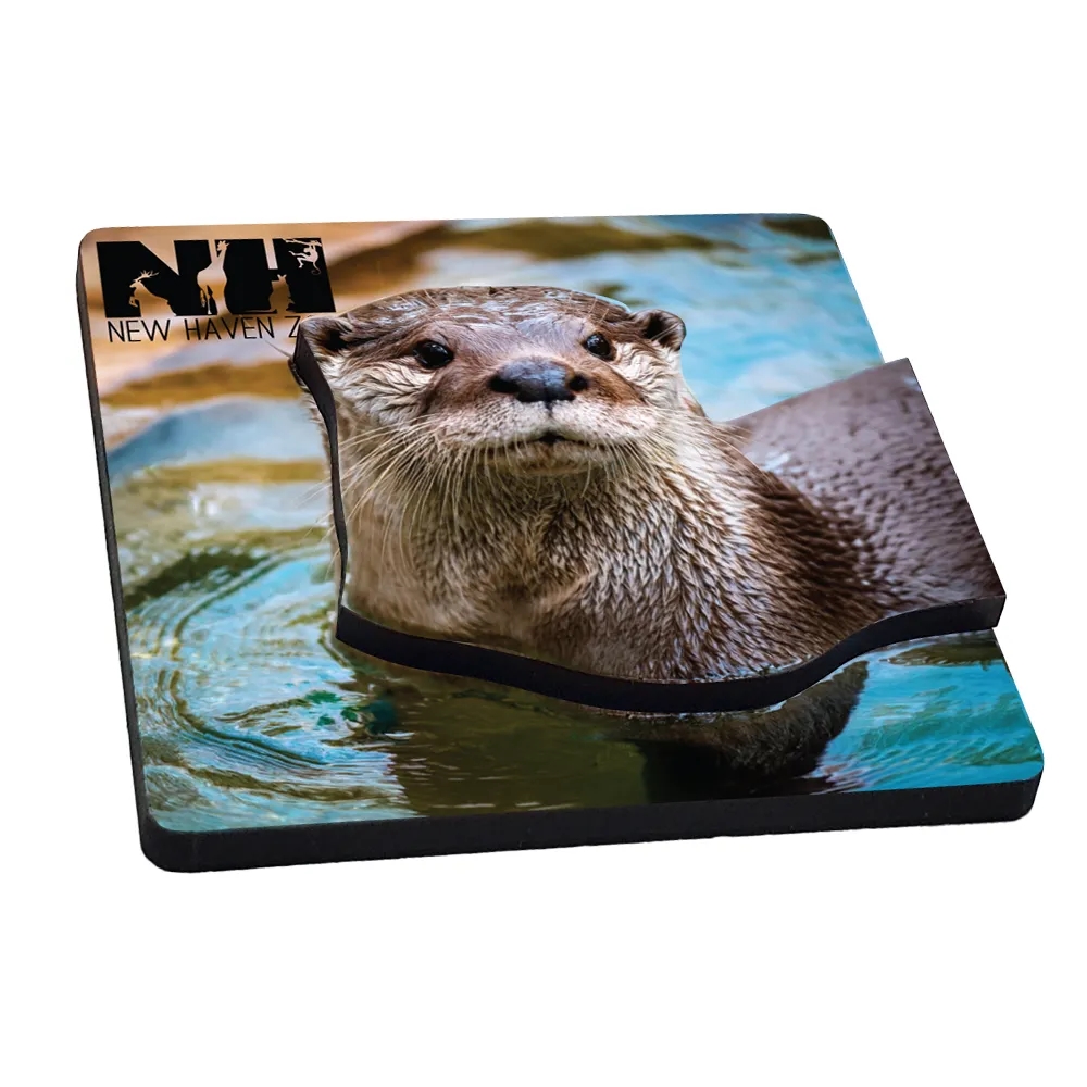 Recycled Wood Dual Layer Magnet 12