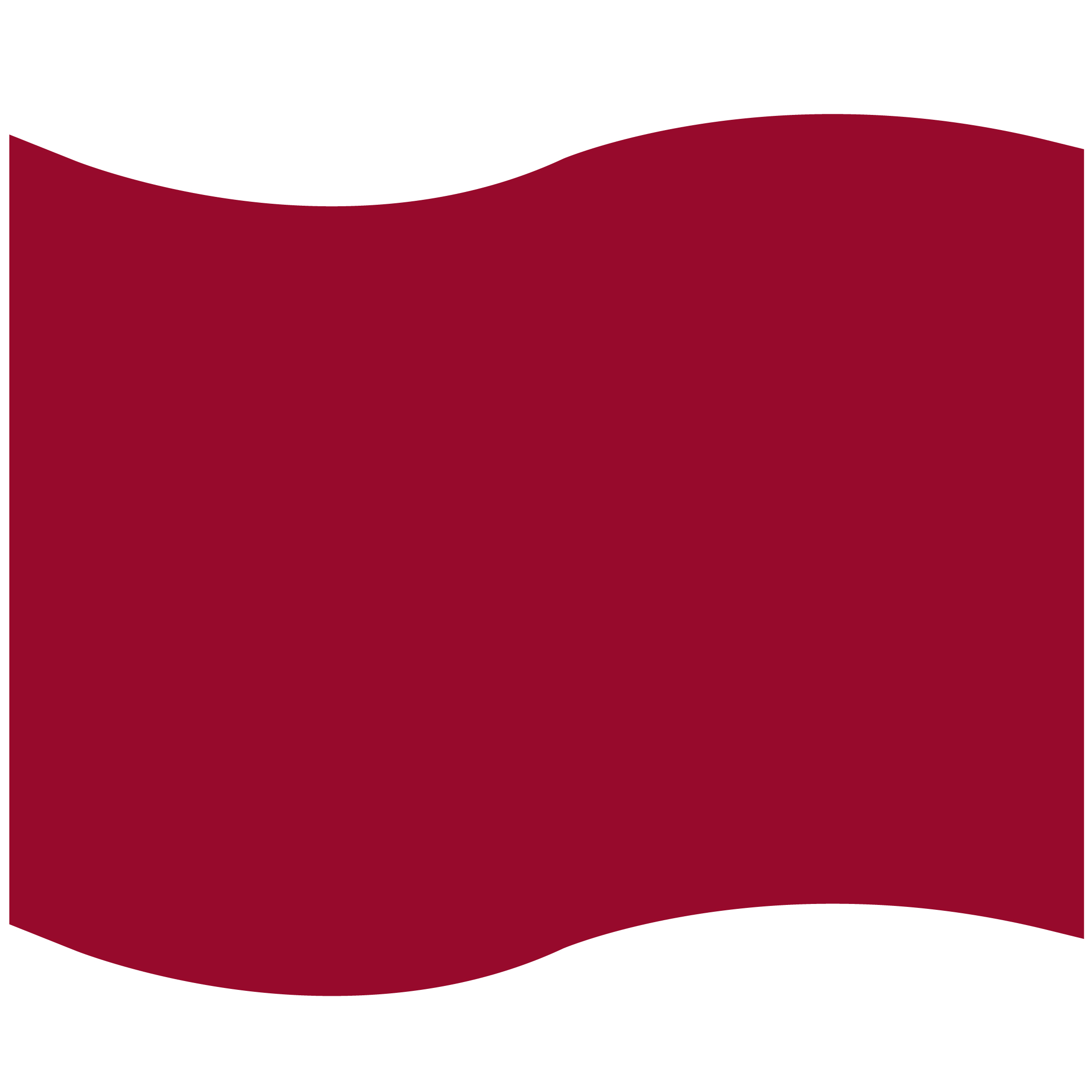 Foam Flag Mitt 52