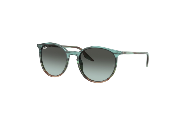 Ray-Ban RB2204 Sunglasses 3