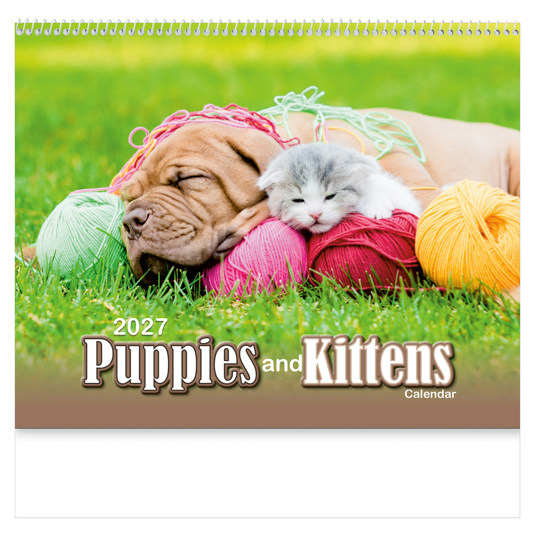 Puppies & Kittens Wall Calendar: 2027 Spiral Bound 2