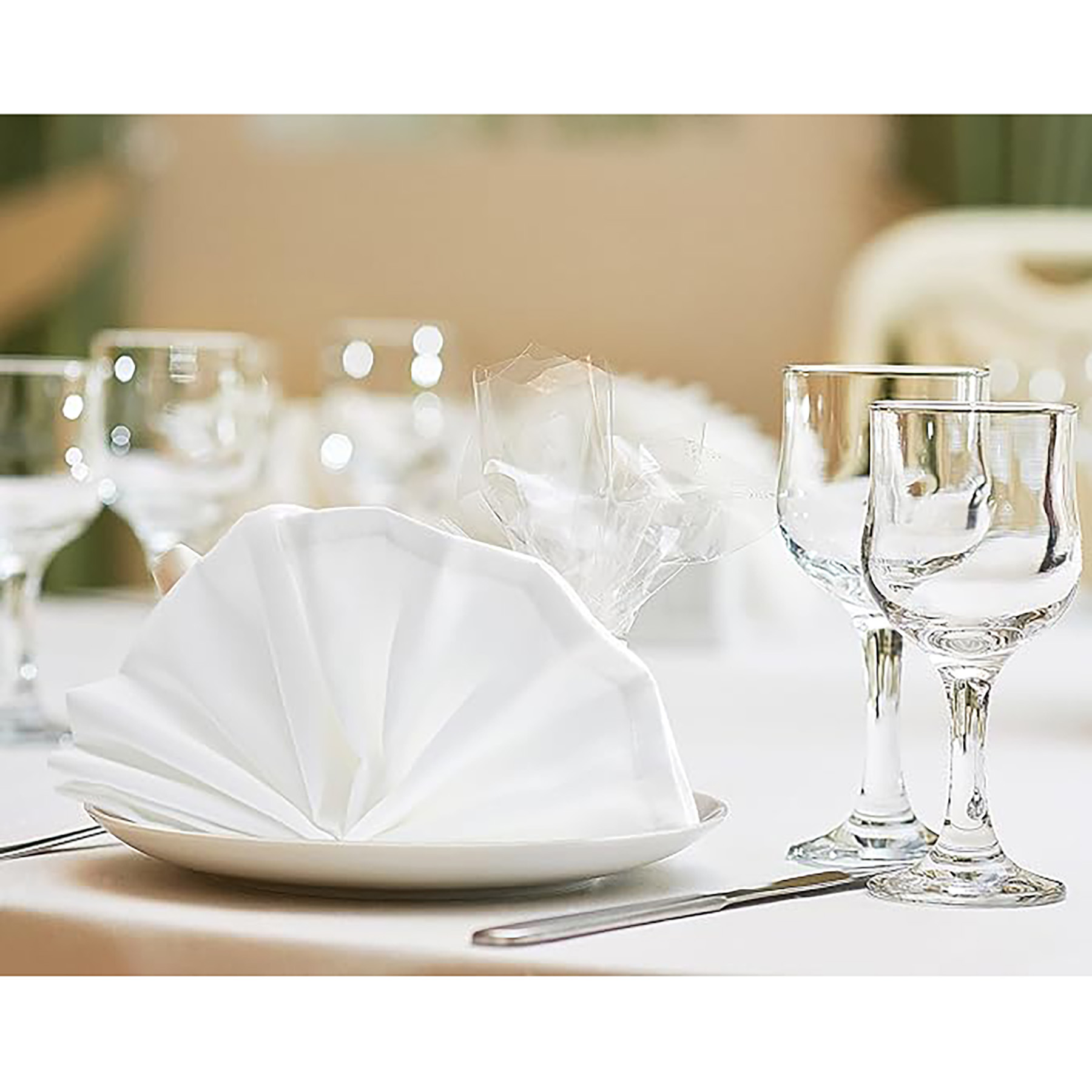 Cloth Napkin 6