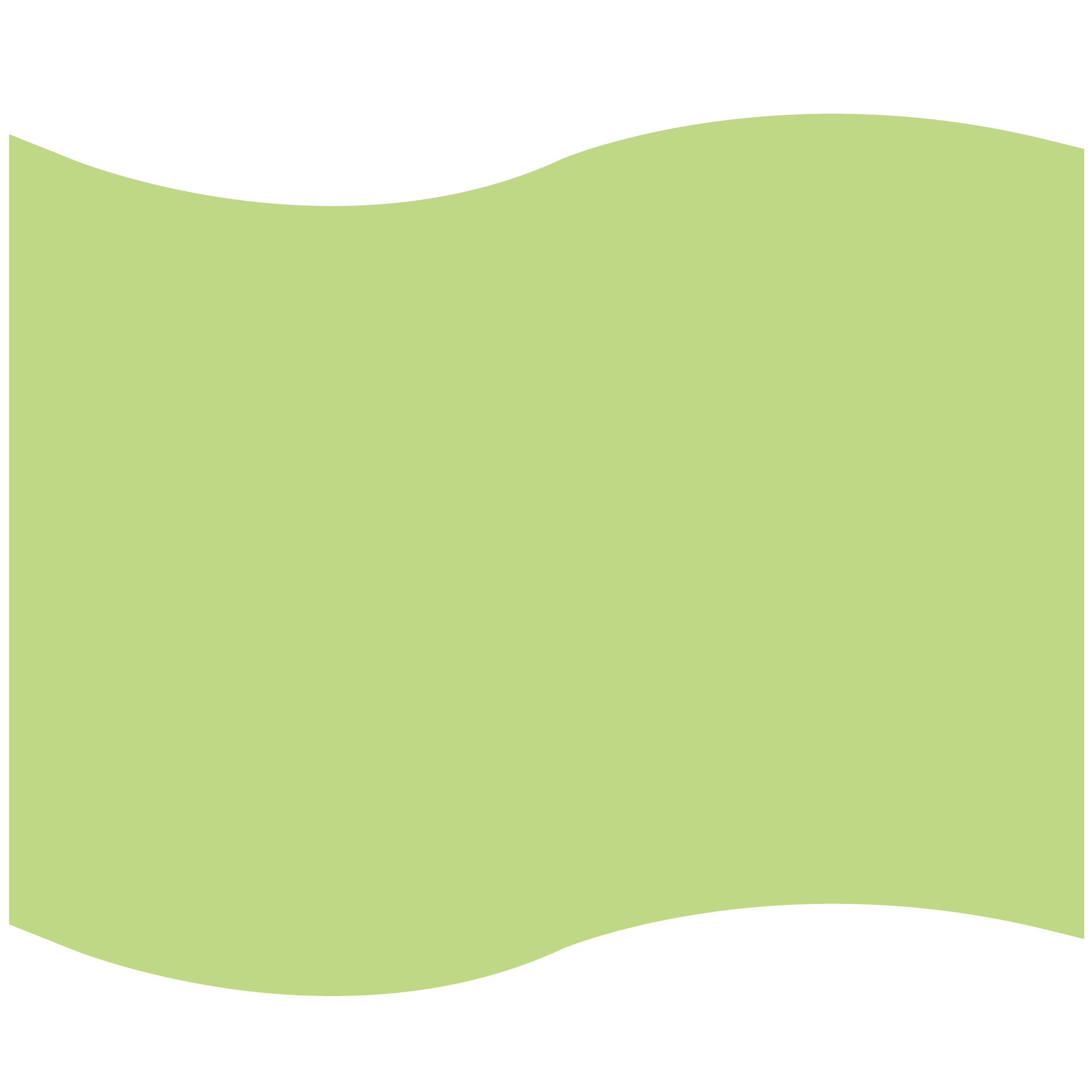 Foam Flag Mitt 44