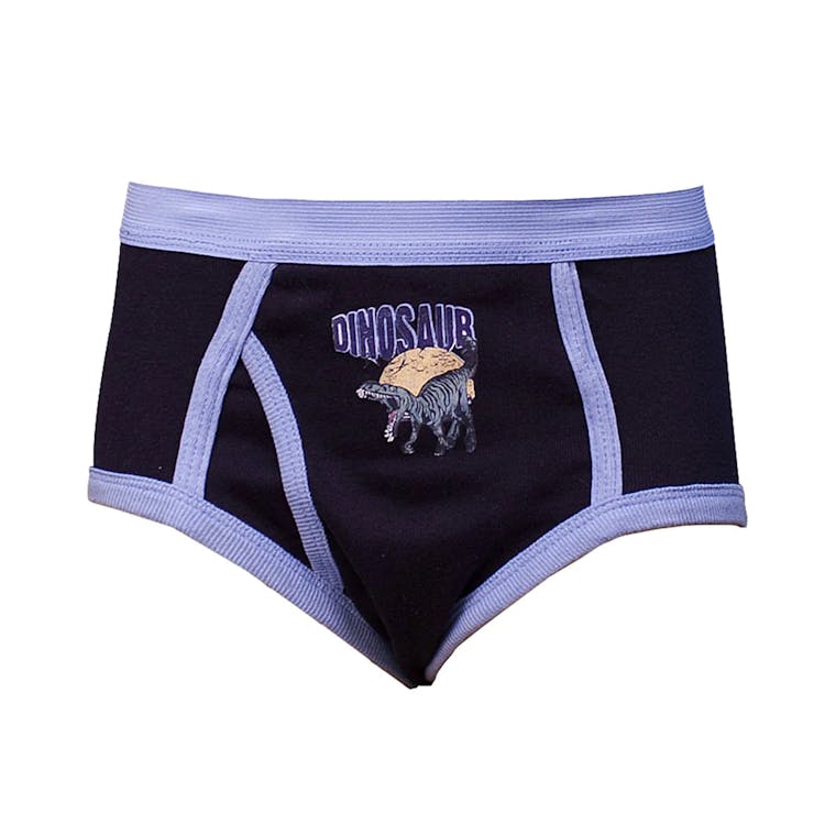 Boys' Cotton Briefs - Large 3 Pack Assorted Colors 3