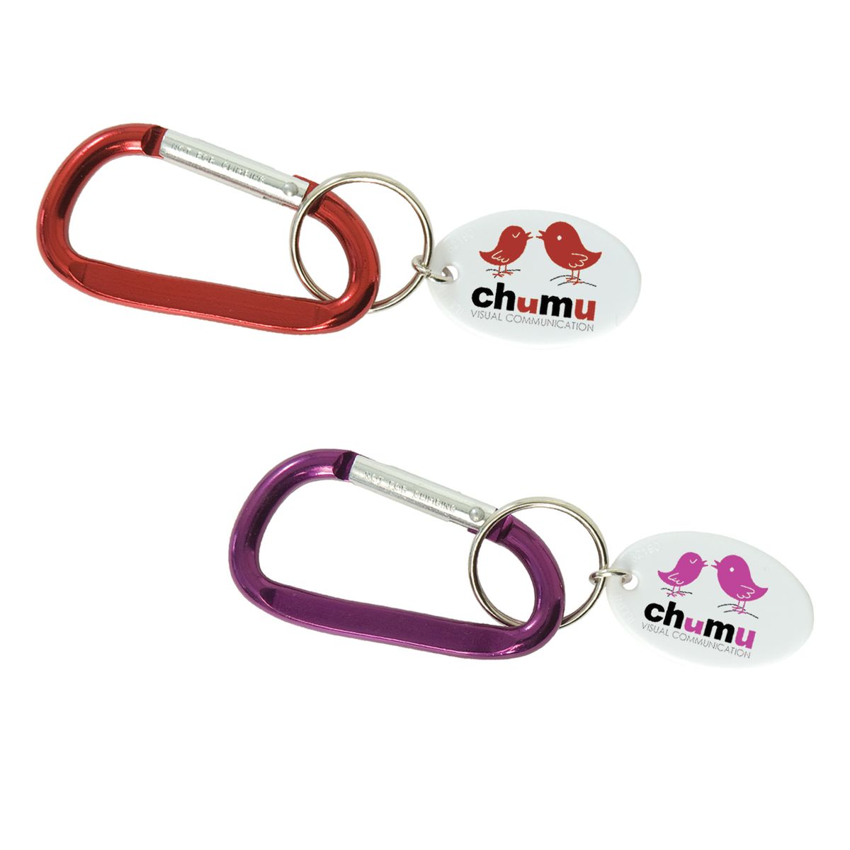 Small Carabiner Keytag 5