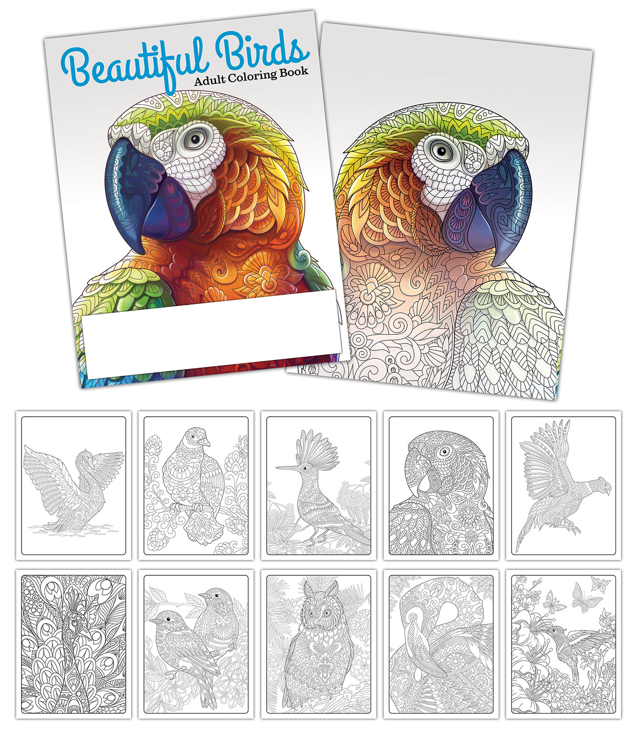 Activity/Coloring Book - 8.5x11 - (12 Pages)
