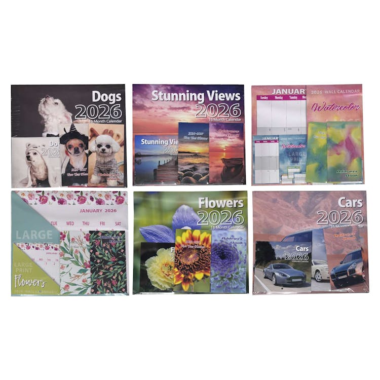 2026 Calendar Set - 4 Pack Assorted Designs 3