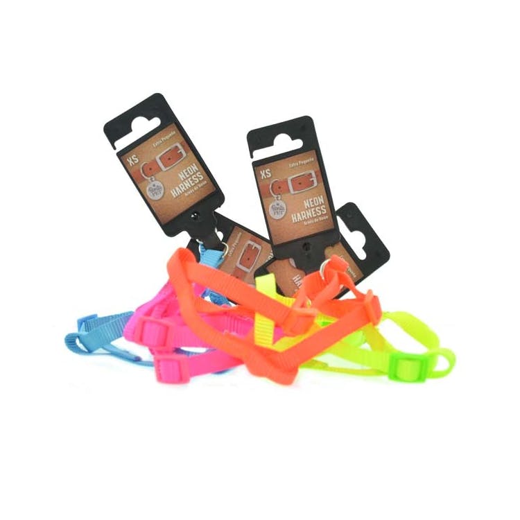 Neon Pet Harnesses - Assorted Extra Small 2