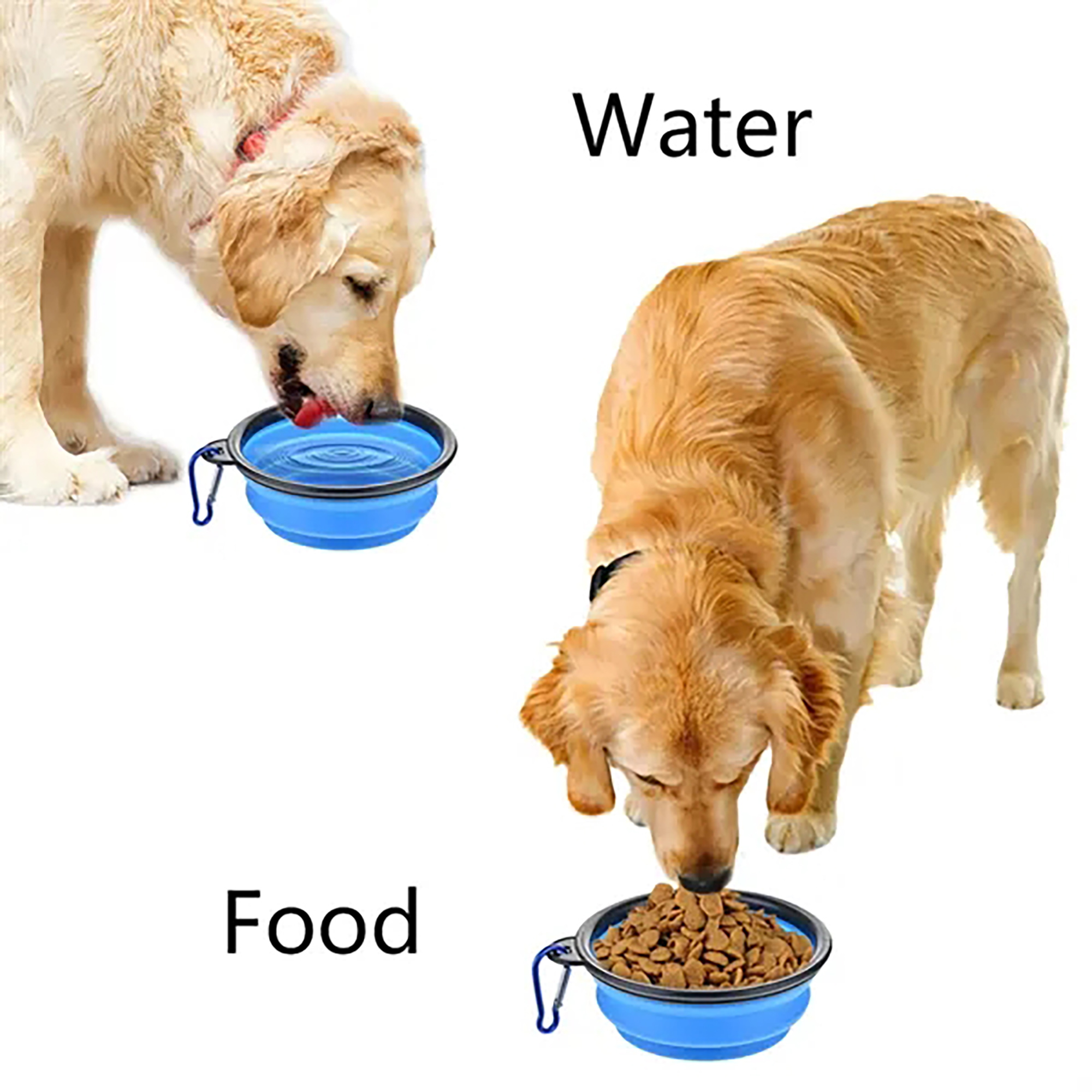 Foldable 12 OZ Dog Bowl for Pets with Carabiner 4