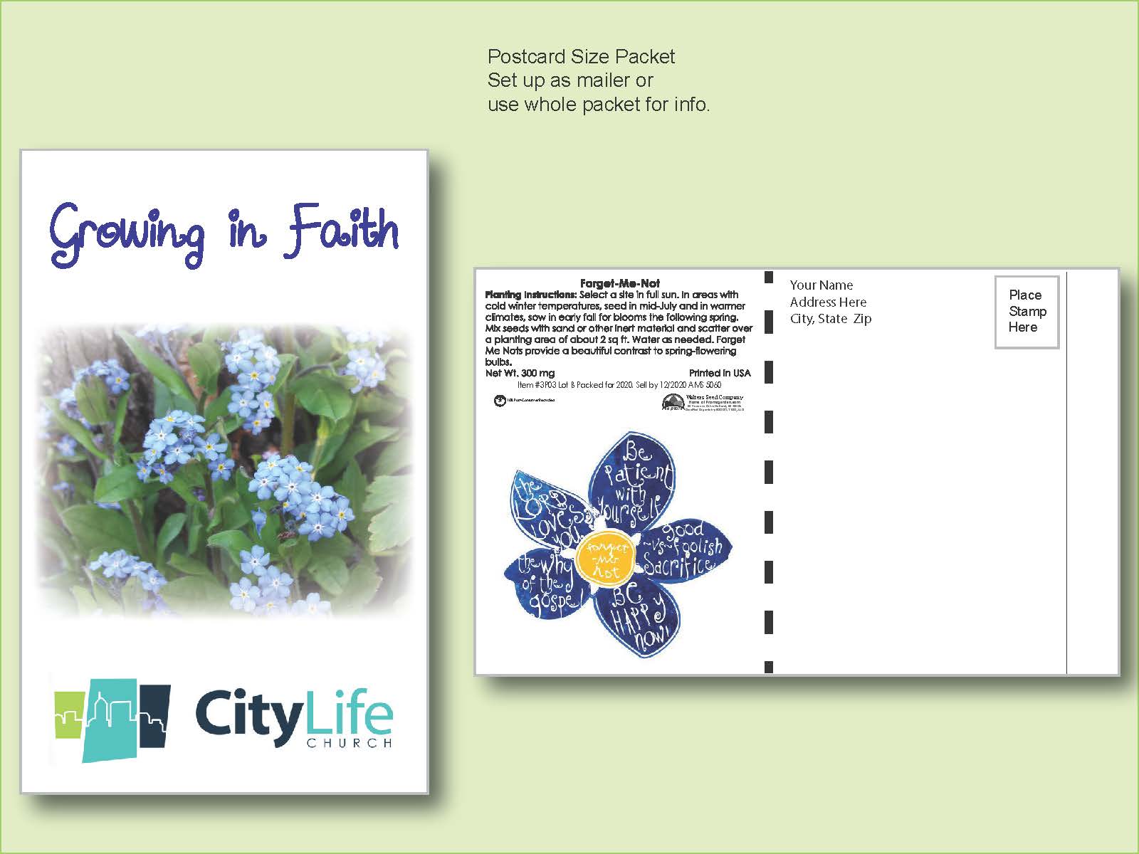 Forget-Me-Not Seed Packet - Postcard Mailer Size 4" x 6.5"