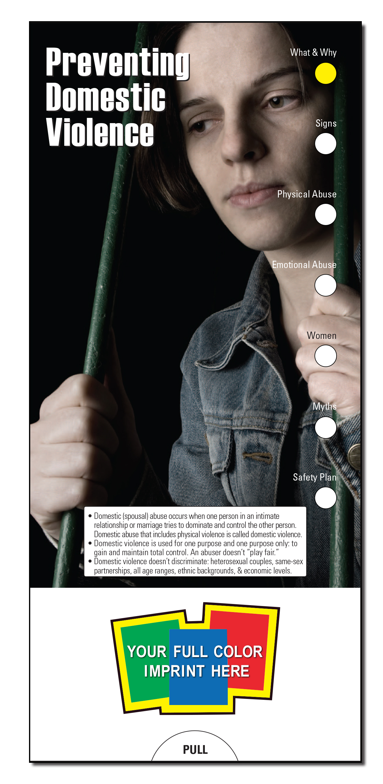 SLIDE CHART - Preventing Domestic Violence Slide Chart
