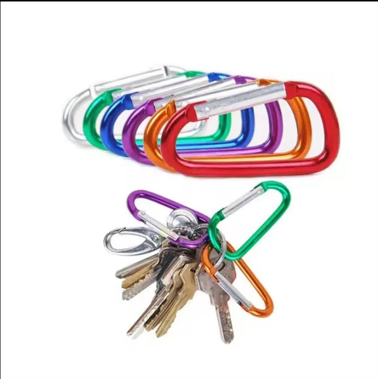 Carabiner keychain