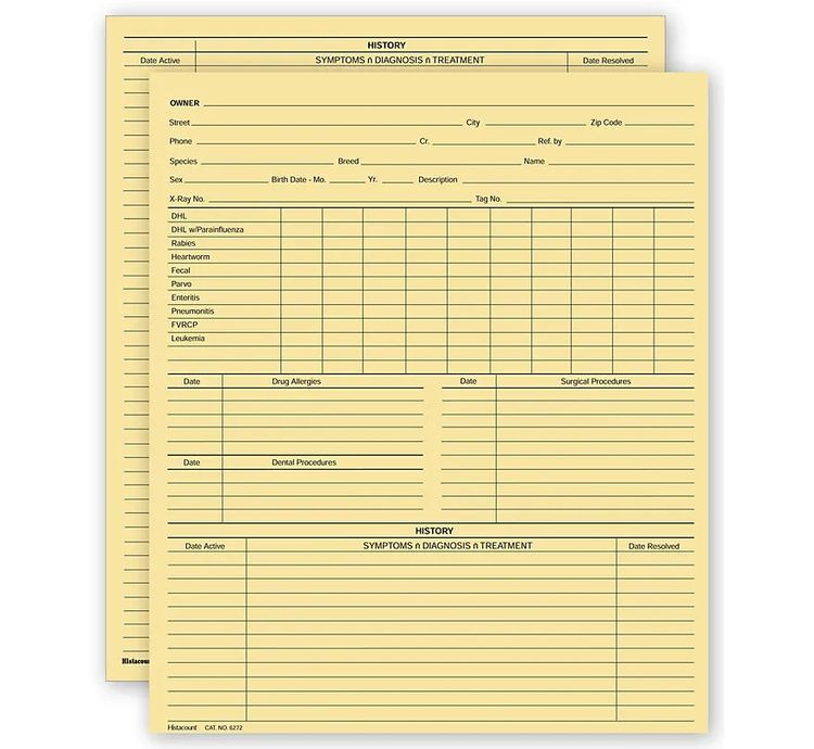 【裁断済み】VETERINARY BOARD 67 & 68 セット Vet Animal History Exam Record, 2 Sided, Card Size - 20967