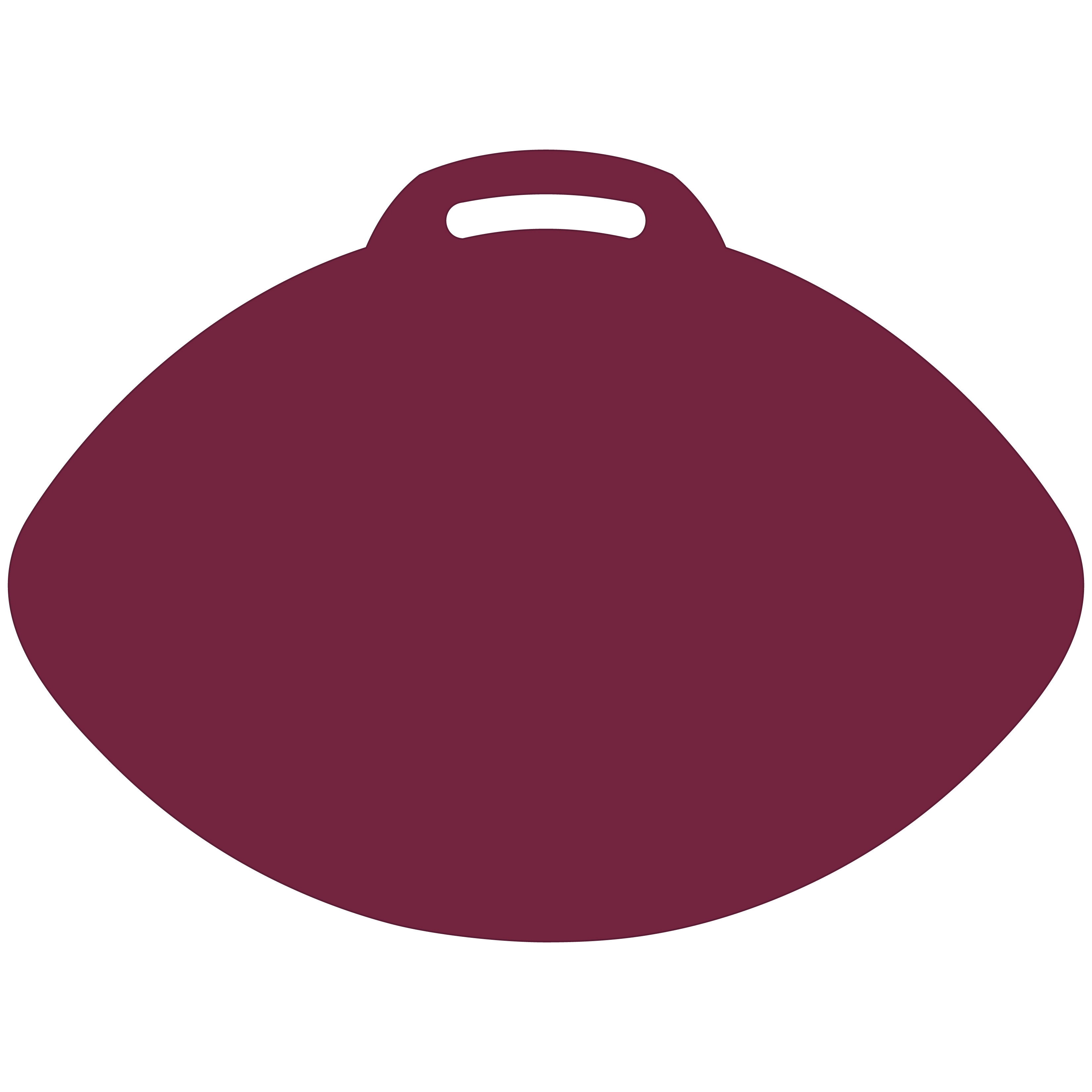 Football-Shaped Vinyl Stadium Cushion (18") 37