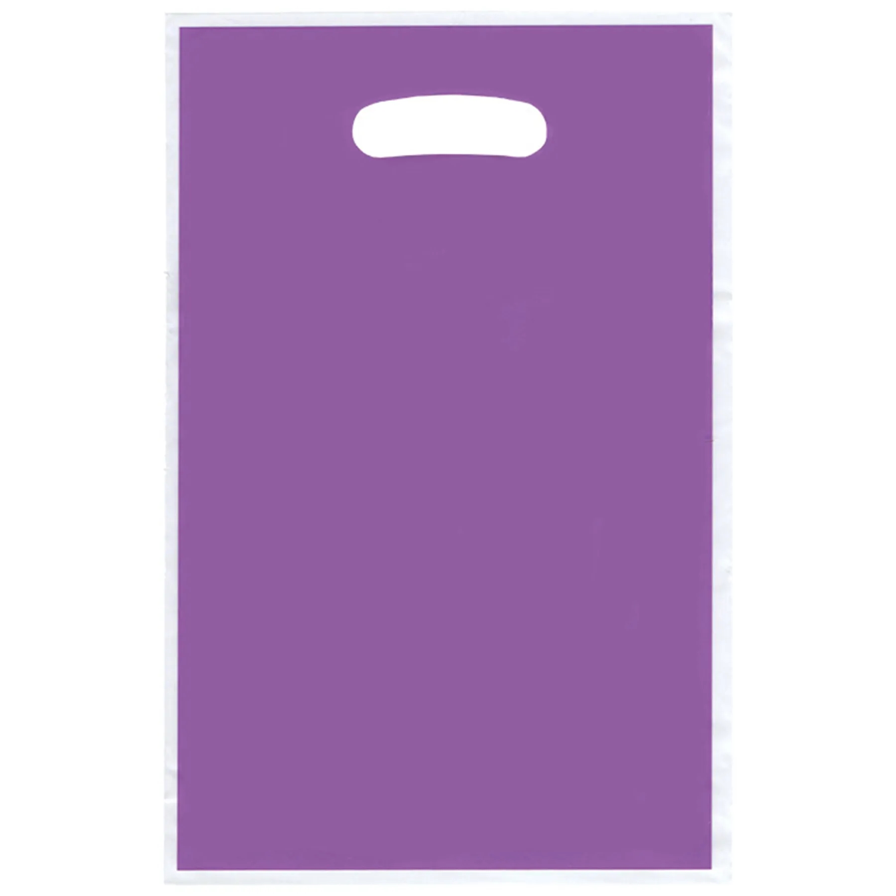 Plastic Shopping Merchandise Gift Bag 24