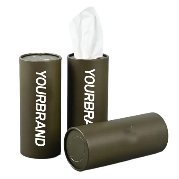Car Tissue Holder