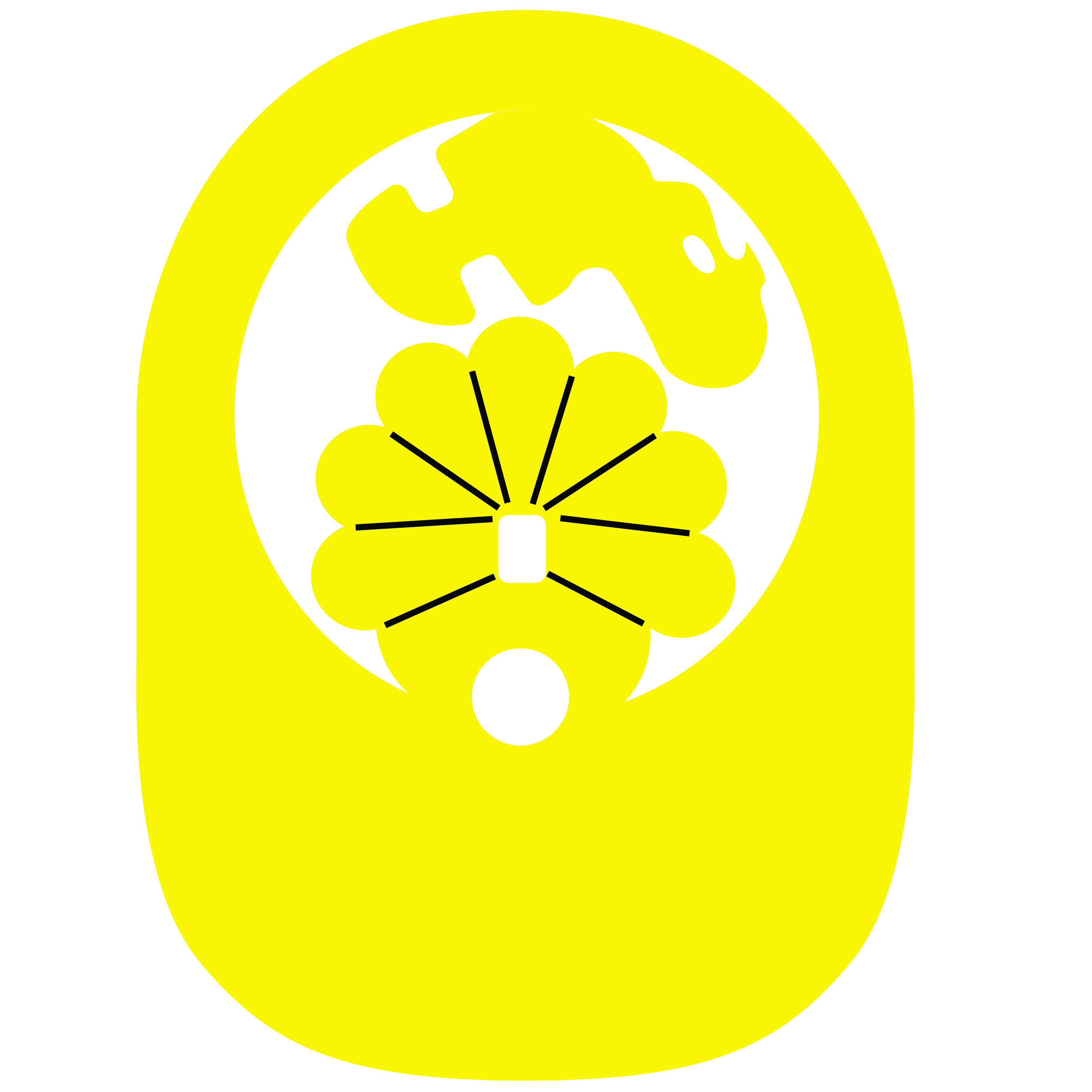 Turkey PopUp Visor 69