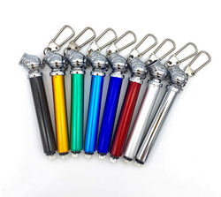 Mini Tire Gauge Key Chain