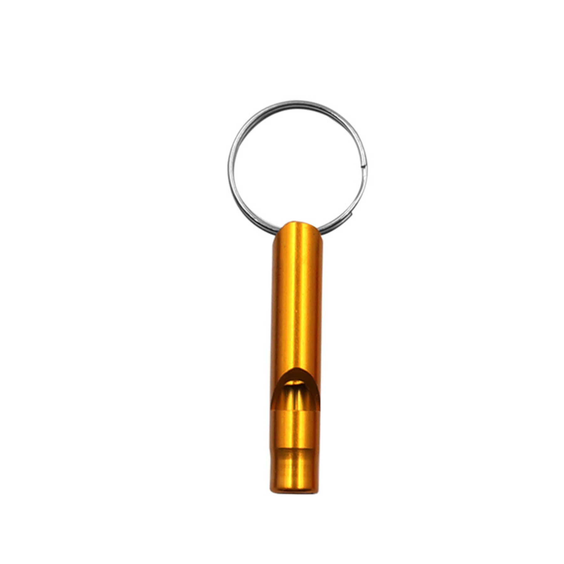 Extra Loud Whistle 6