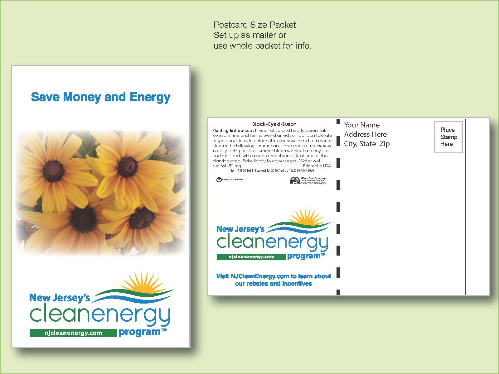 Black Eyed Susan Flower Seed Packet - Postcard Mailer Size 4" x 6.5"