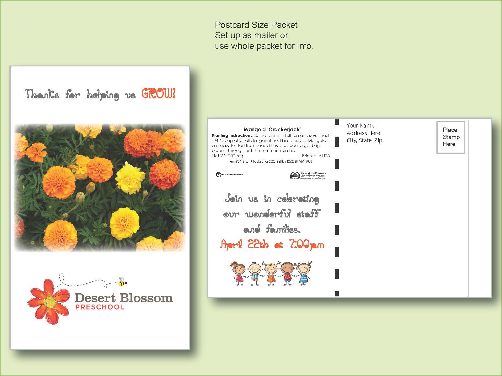 Marigold Flower Seed Packet - Postcard Mailer Size 4" x 6.5"