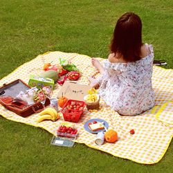 Picnic Blanket