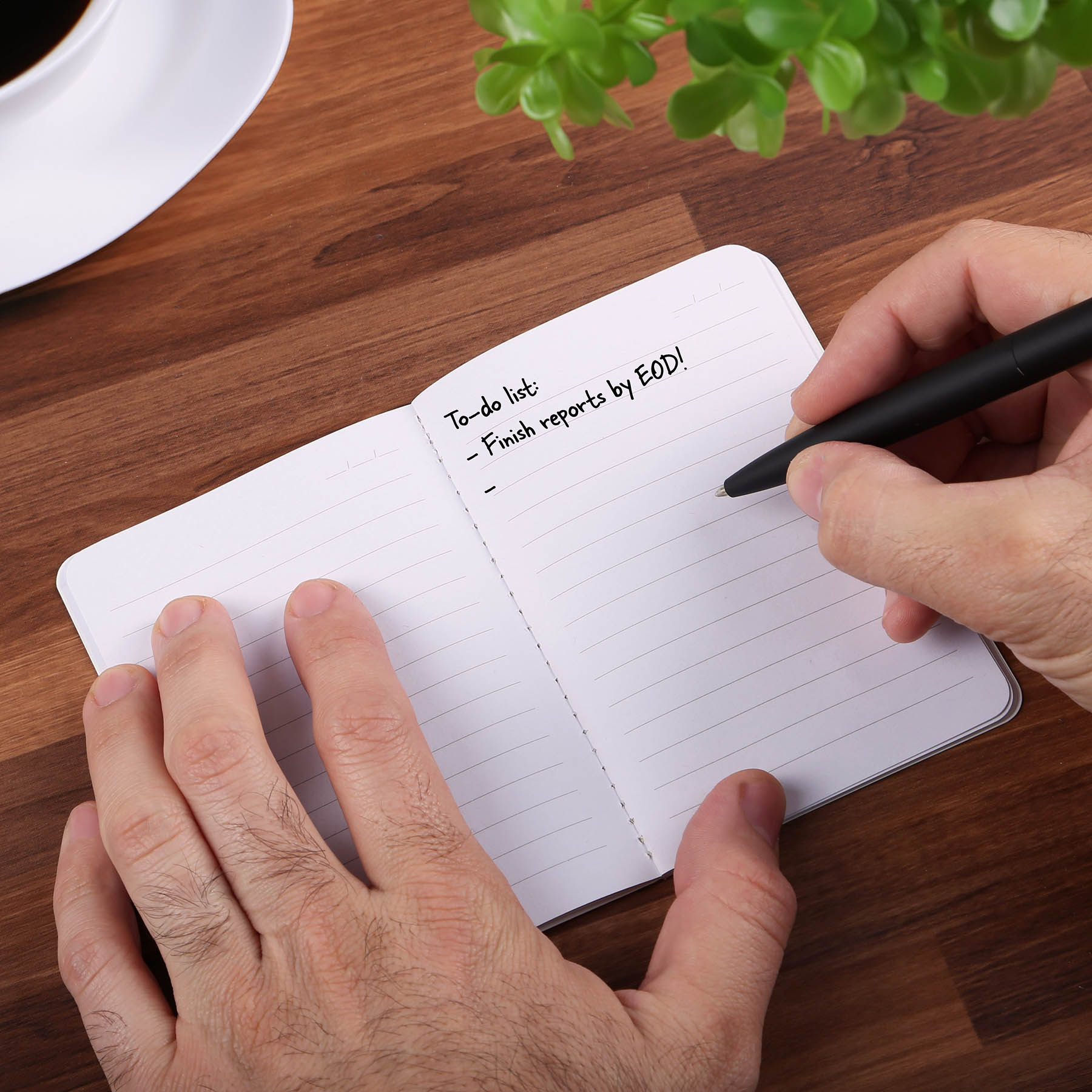 Harvest Fruit Fiber™ Pocket Notebook 11