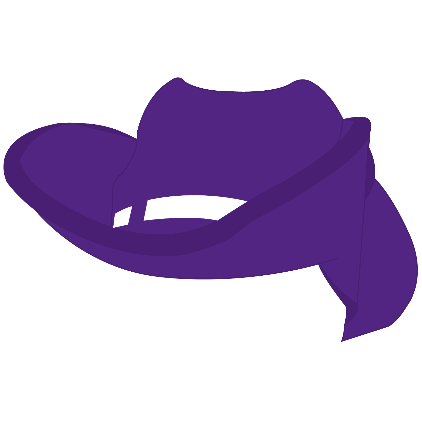 Cowboy Hat Visor 64