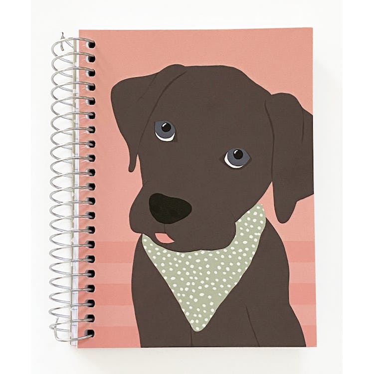 Fat Books - 2 Covers 150 Sheets 5.5" x 4" 3