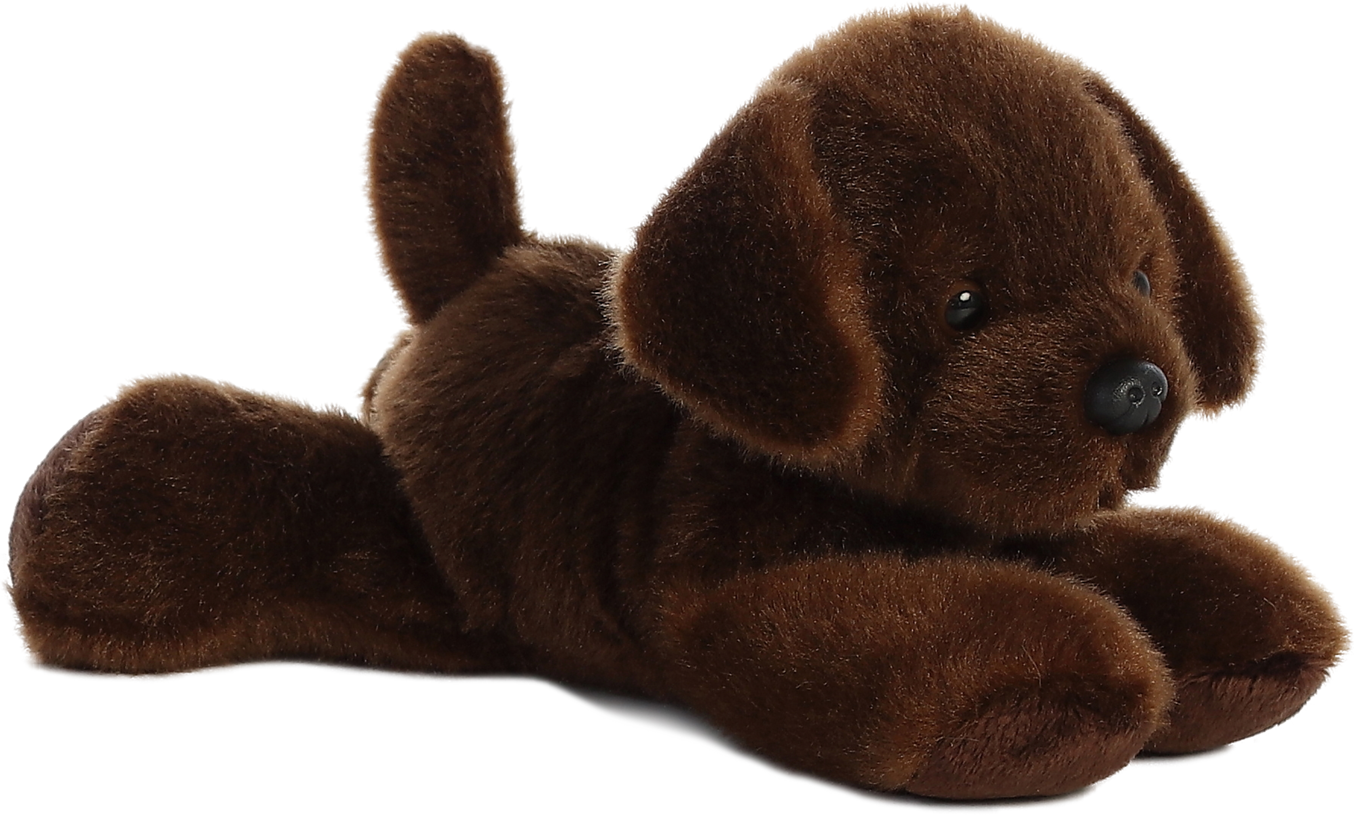 8" Lil' Lucky Labrador 3