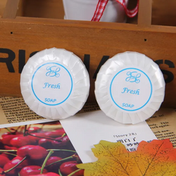 Round Beauty Soap