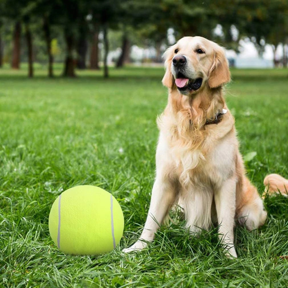 Large Tennis Ball Doggie Puzzle Toys