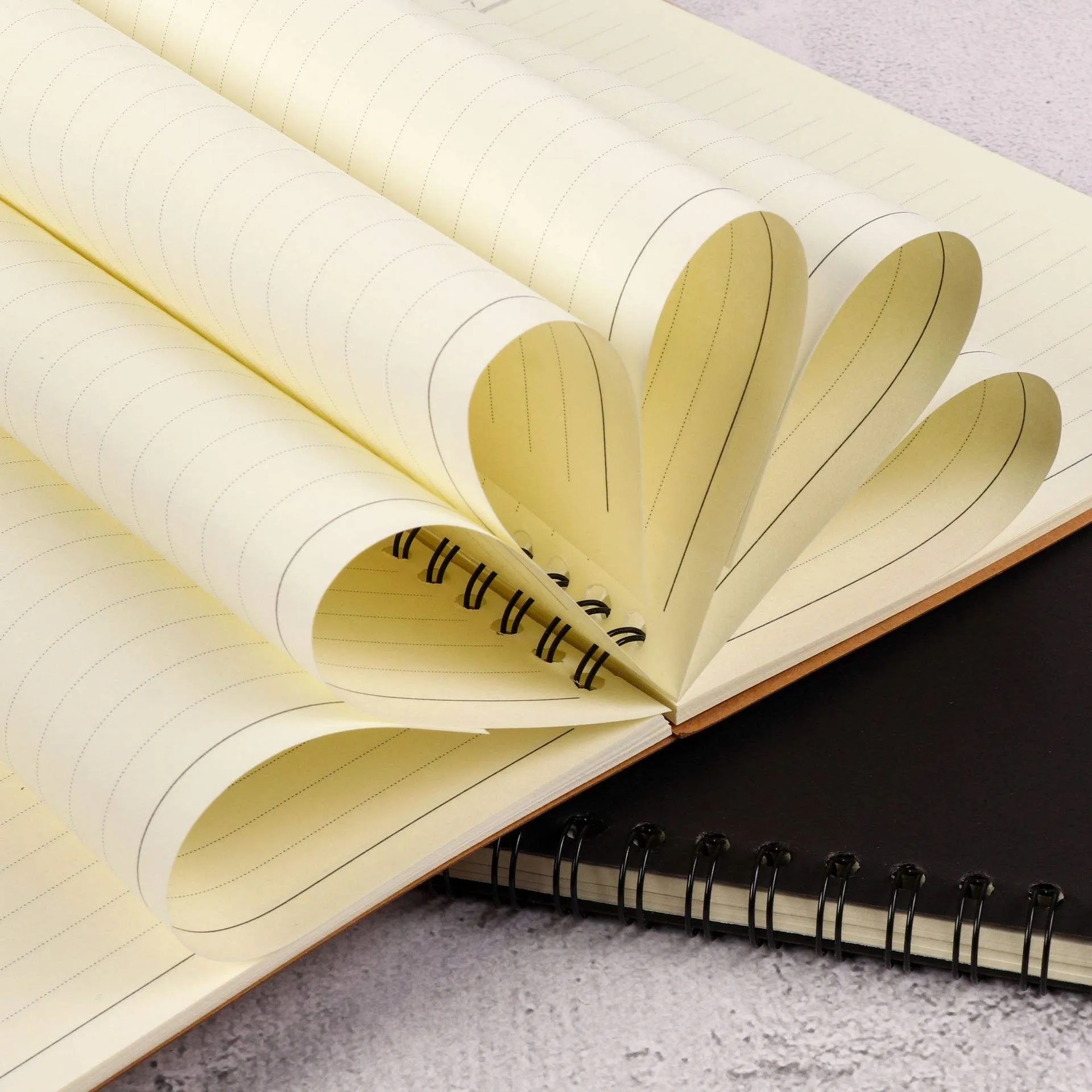 Eco-Friendly Spiral Notebook Multi Color 11