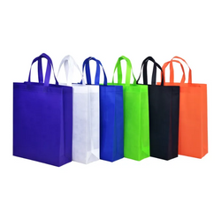 80 gsm Non-Woven Bag/Shopping Bag