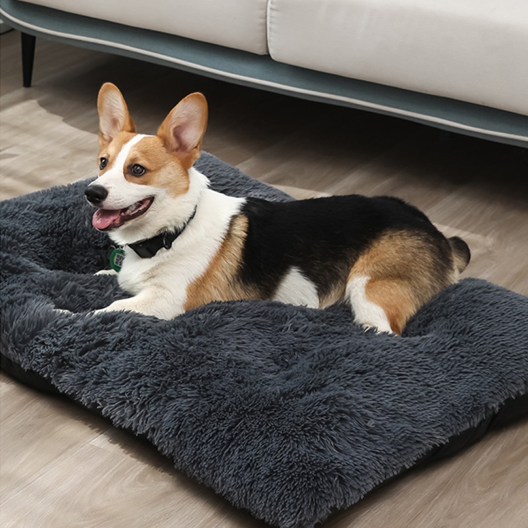 Pet Blanket Mat