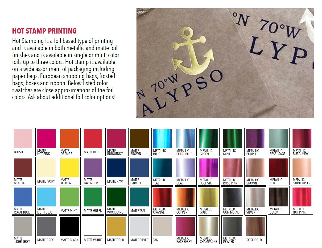 Matte European Shopping Bags 8