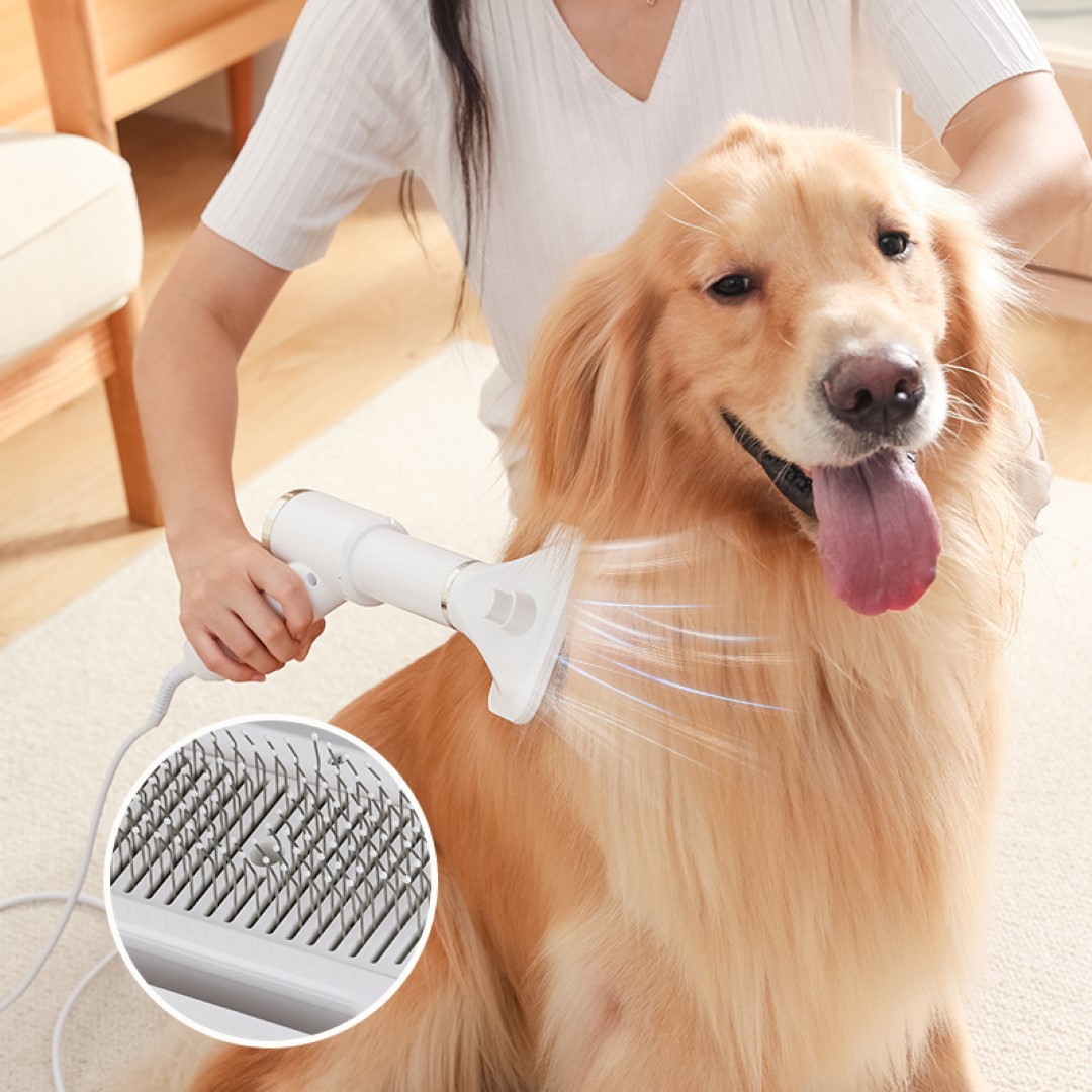 2 in 1 Pet Grooming Hair Dryer