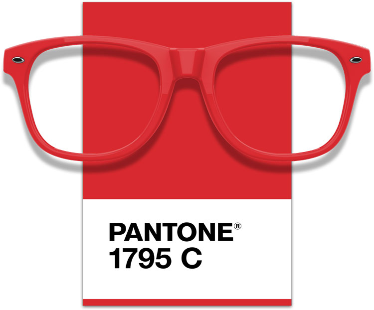 Frog Sunglasses w/ Temple Imprint 2