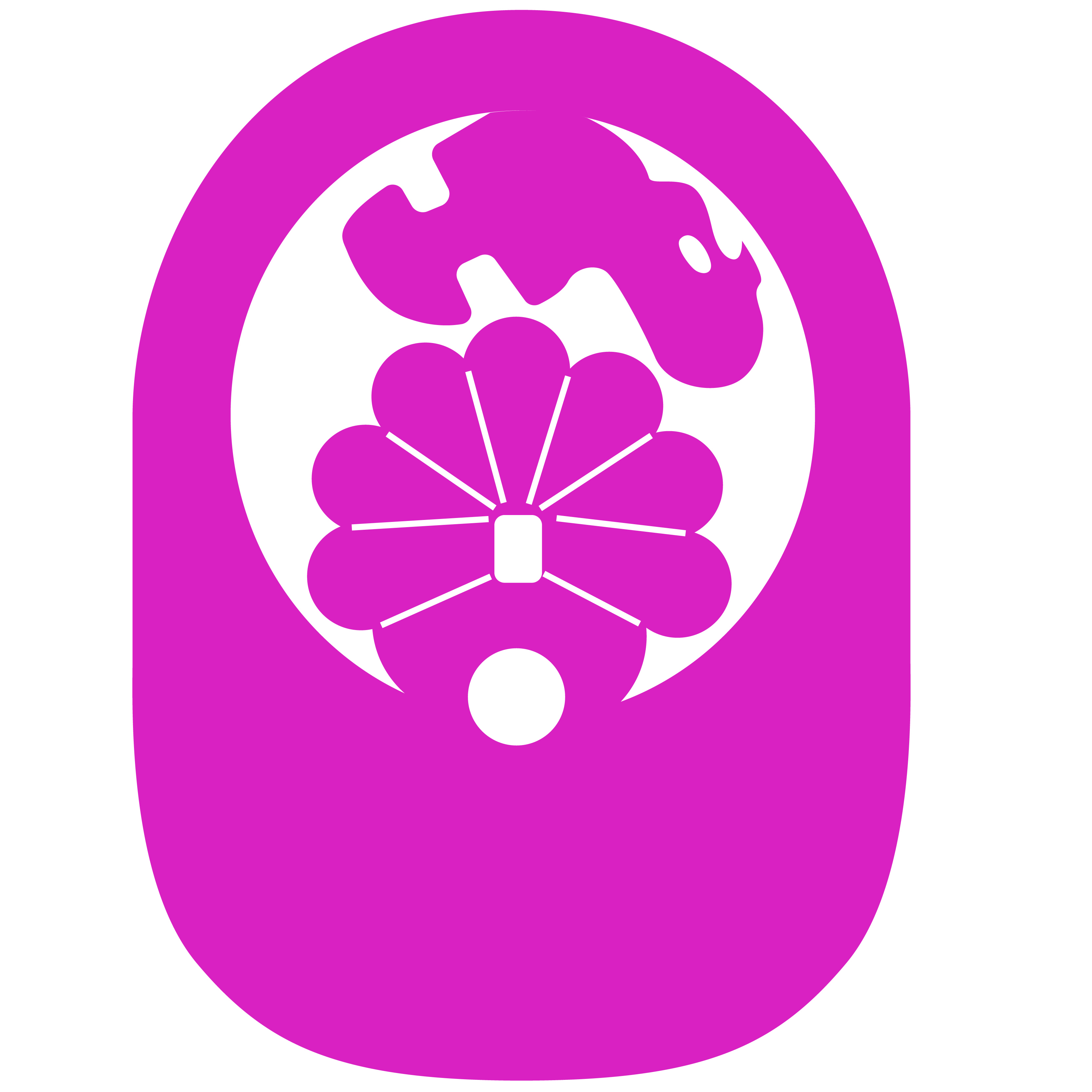 Turkey PopUp Visor 67