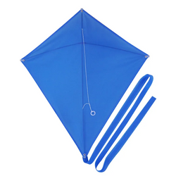 Custom Diamond Kite