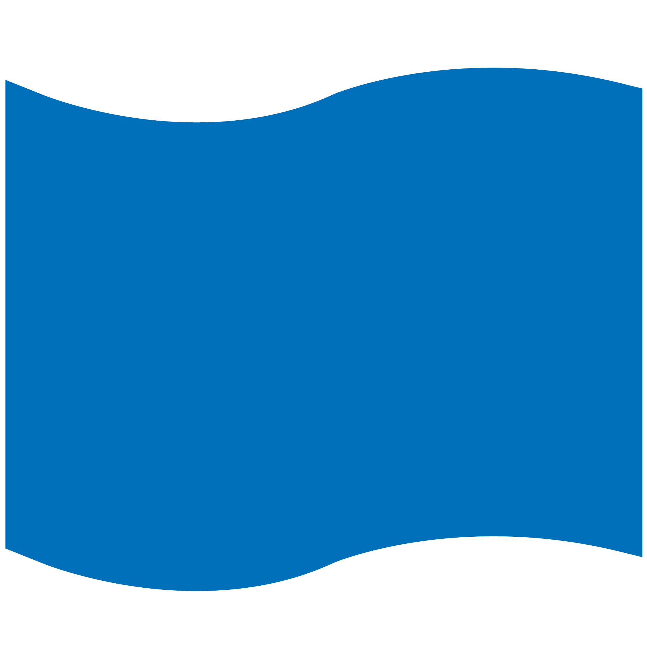 Foam Flag Mitt 43