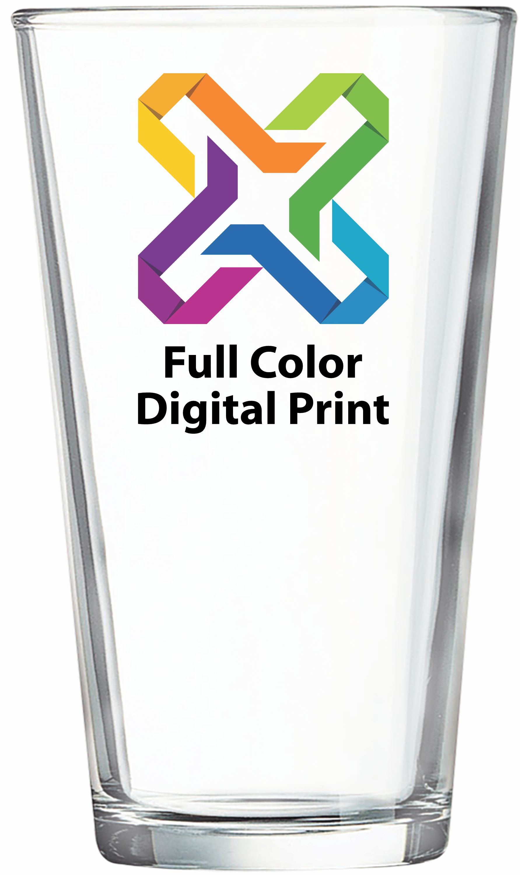 Polar Camel 16 oz Pint - MADE IN THE USA